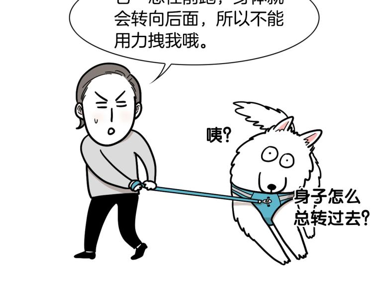 第4话 训练狗狗大作战！64