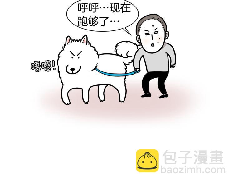 第4话 训练狗狗大作战！7