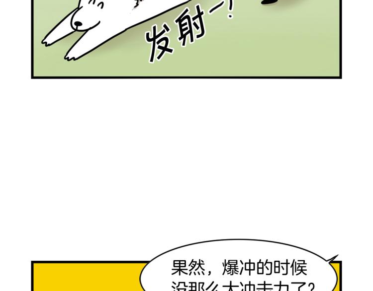第4话 训练狗狗大作战！72