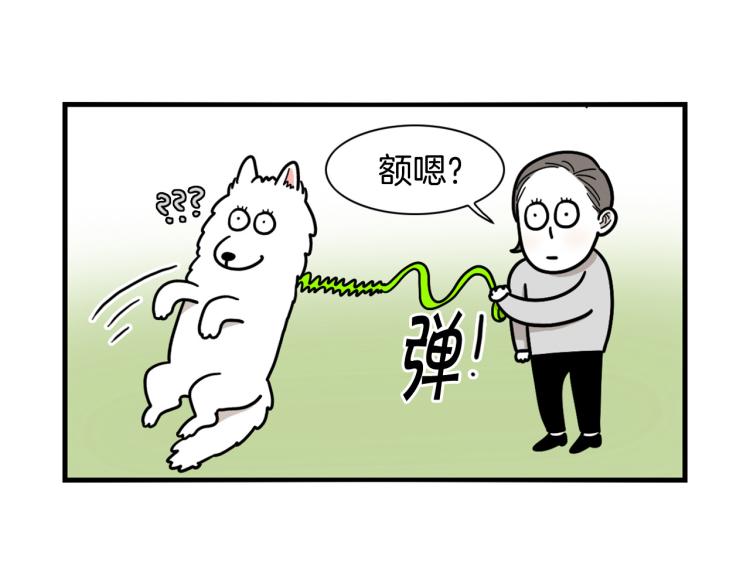 第4话 训练狗狗大作战！74
