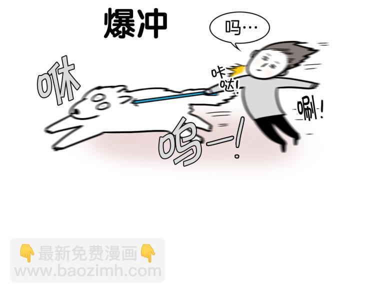 第4话 训练狗狗大作战！8