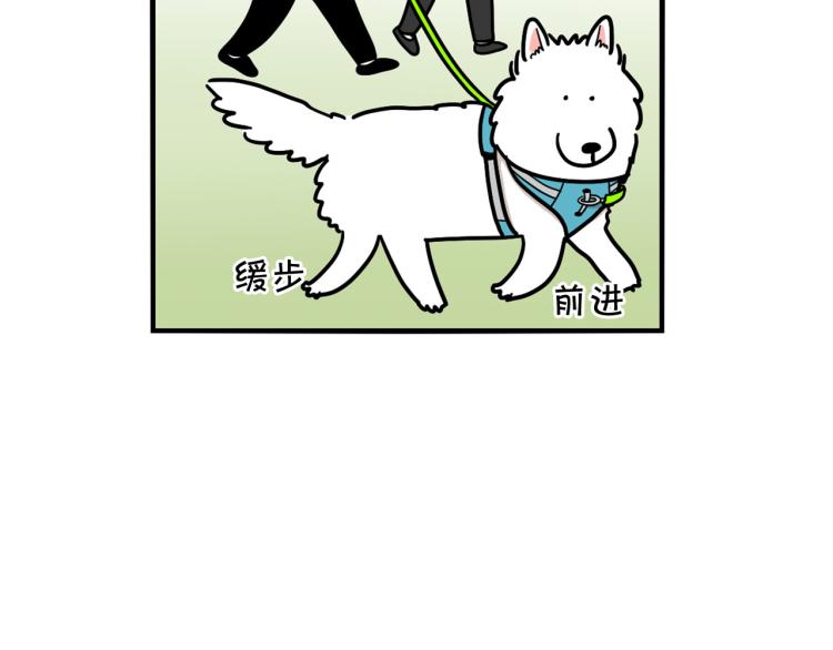 第4话 训练狗狗大作战！81