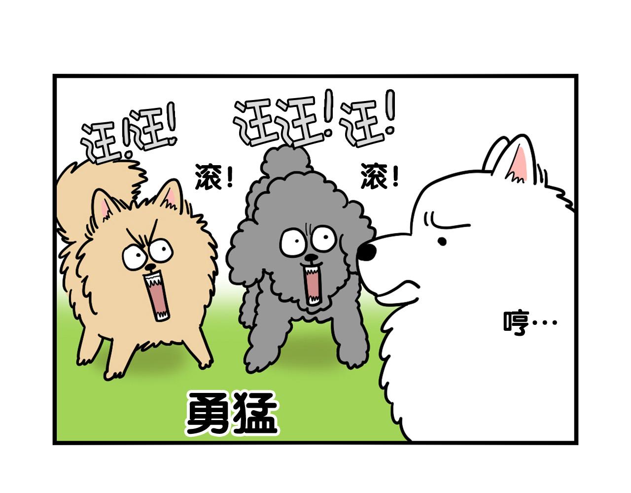 第16话 大狗的软肋41