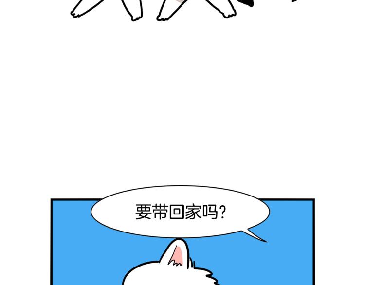 第17话 酷爱捡东西26