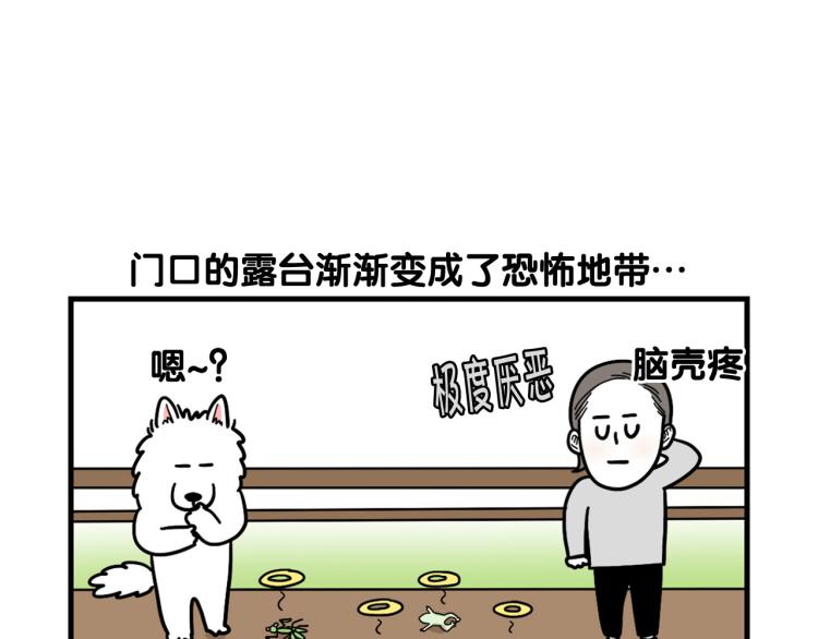 第17话 酷爱捡东西70