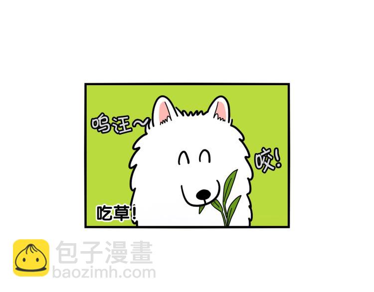 第18话 驱虫大作战7