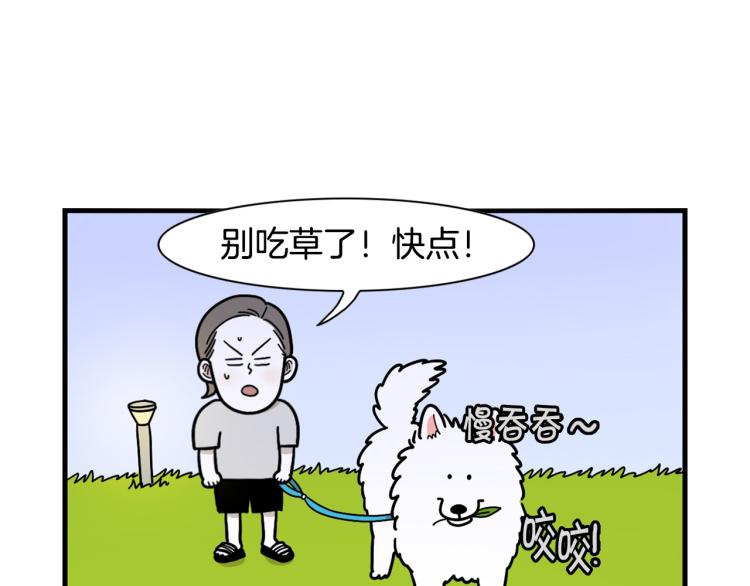第18话 驱虫大作战8
