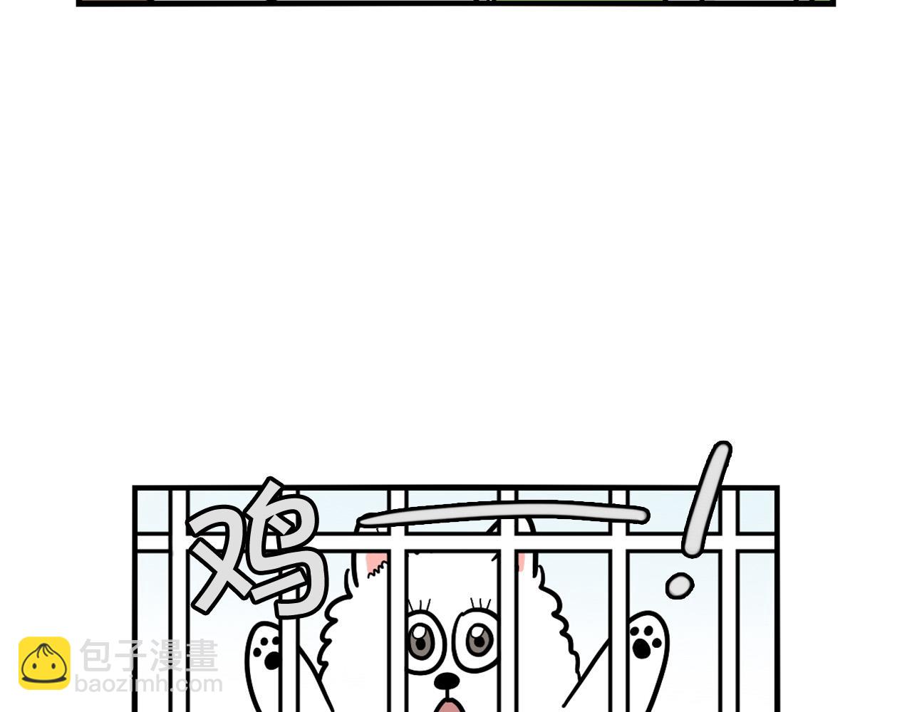 第31话 养鸡之旅11