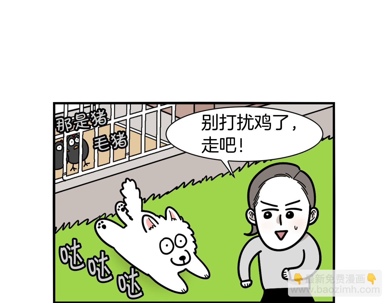第31话 养鸡之旅13