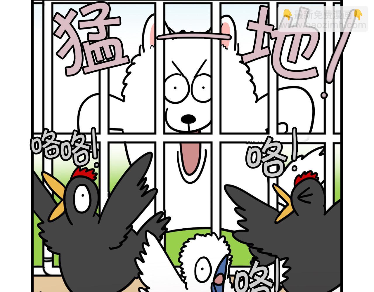 第31话 养鸡之旅19