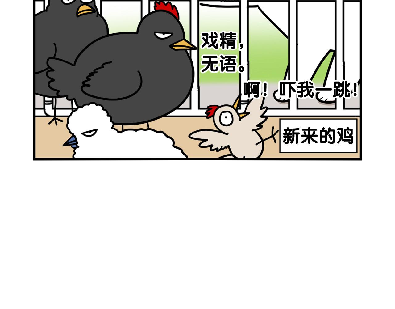 第31话 养鸡之旅27