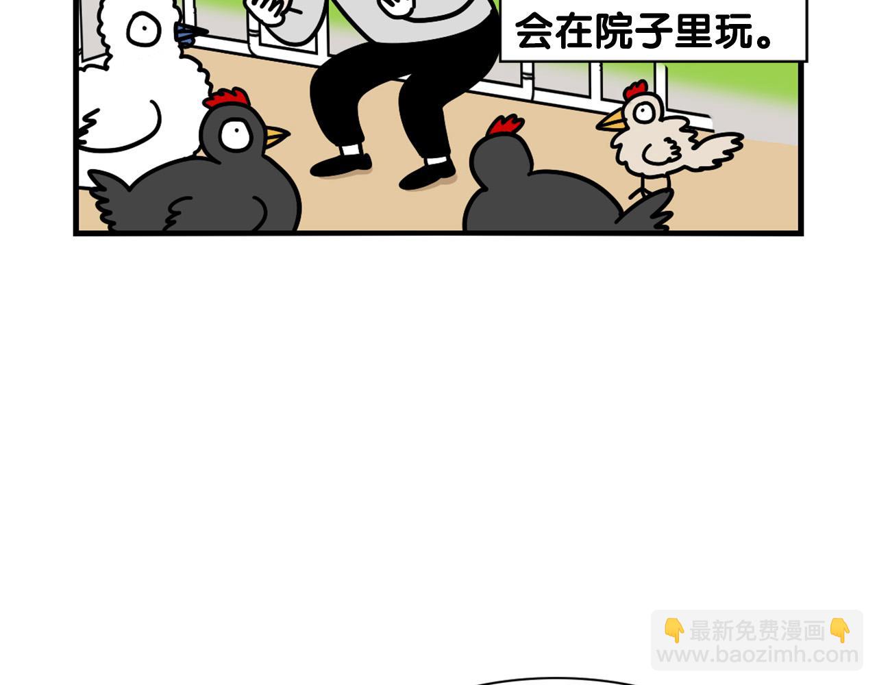 第31话 养鸡之旅31