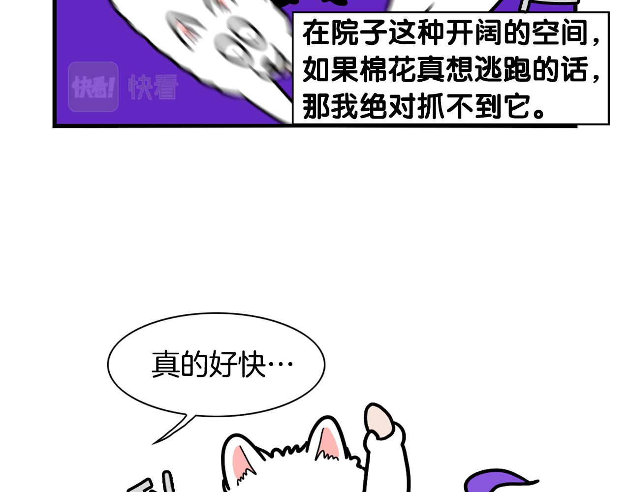 第31话 养鸡之旅45