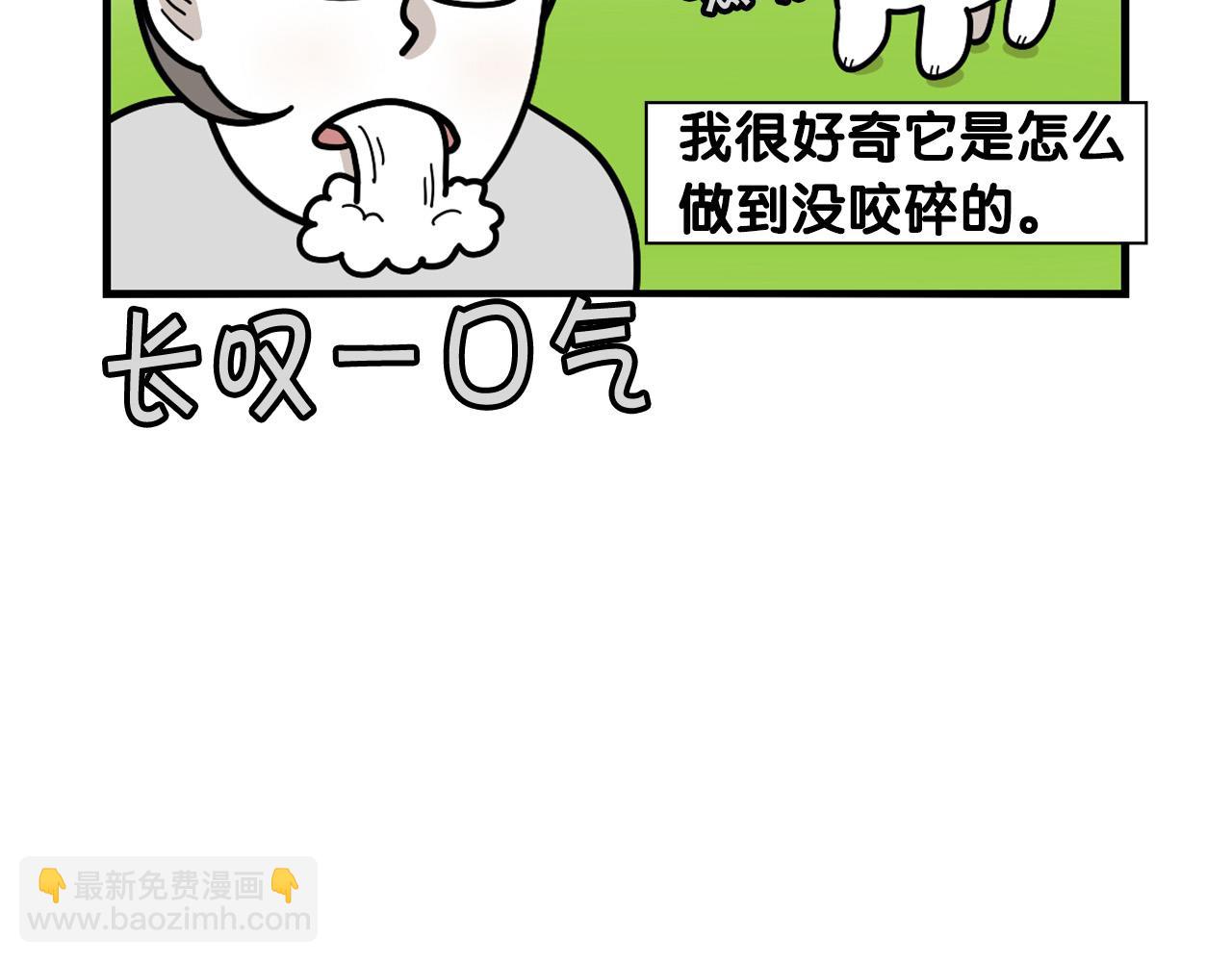 第31话 养鸡之旅52