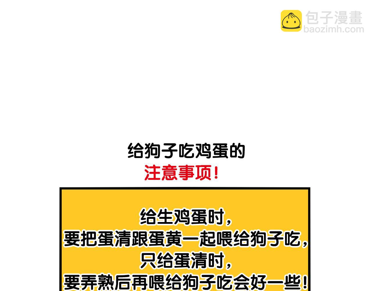 第31话 养鸡之旅60