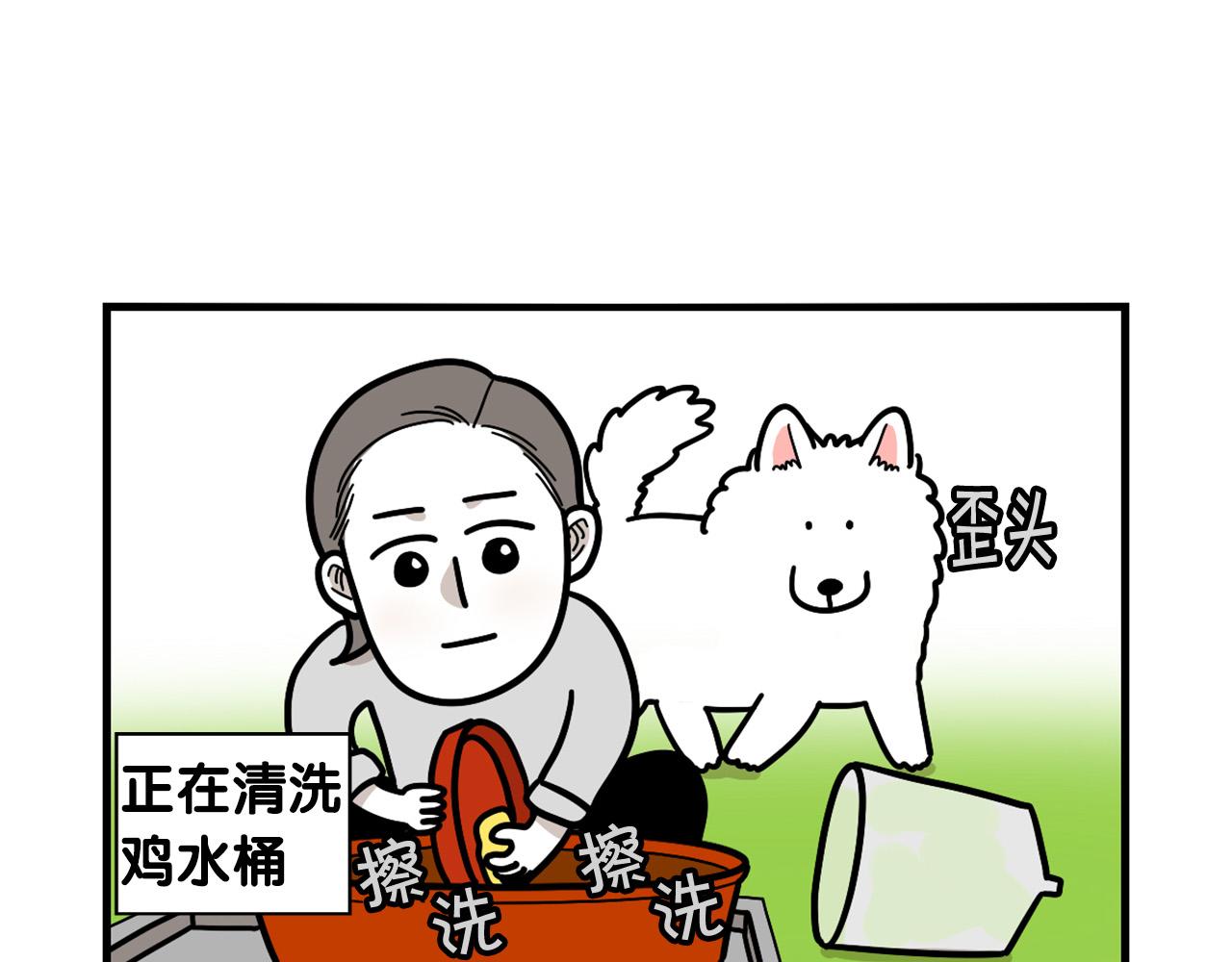 第31话 养鸡之旅63