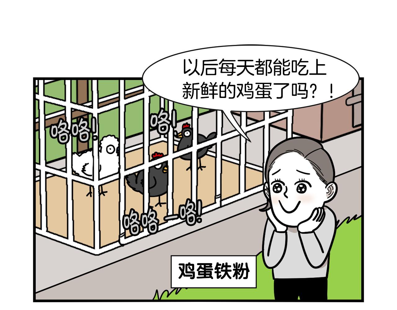 第31话 养鸡之旅7