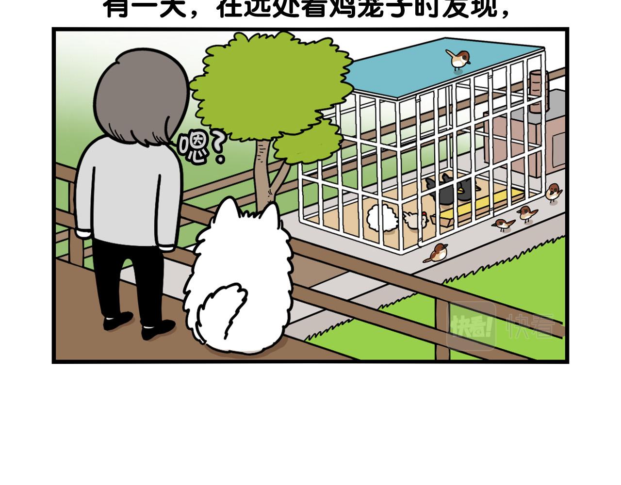 第31话 养鸡之旅74