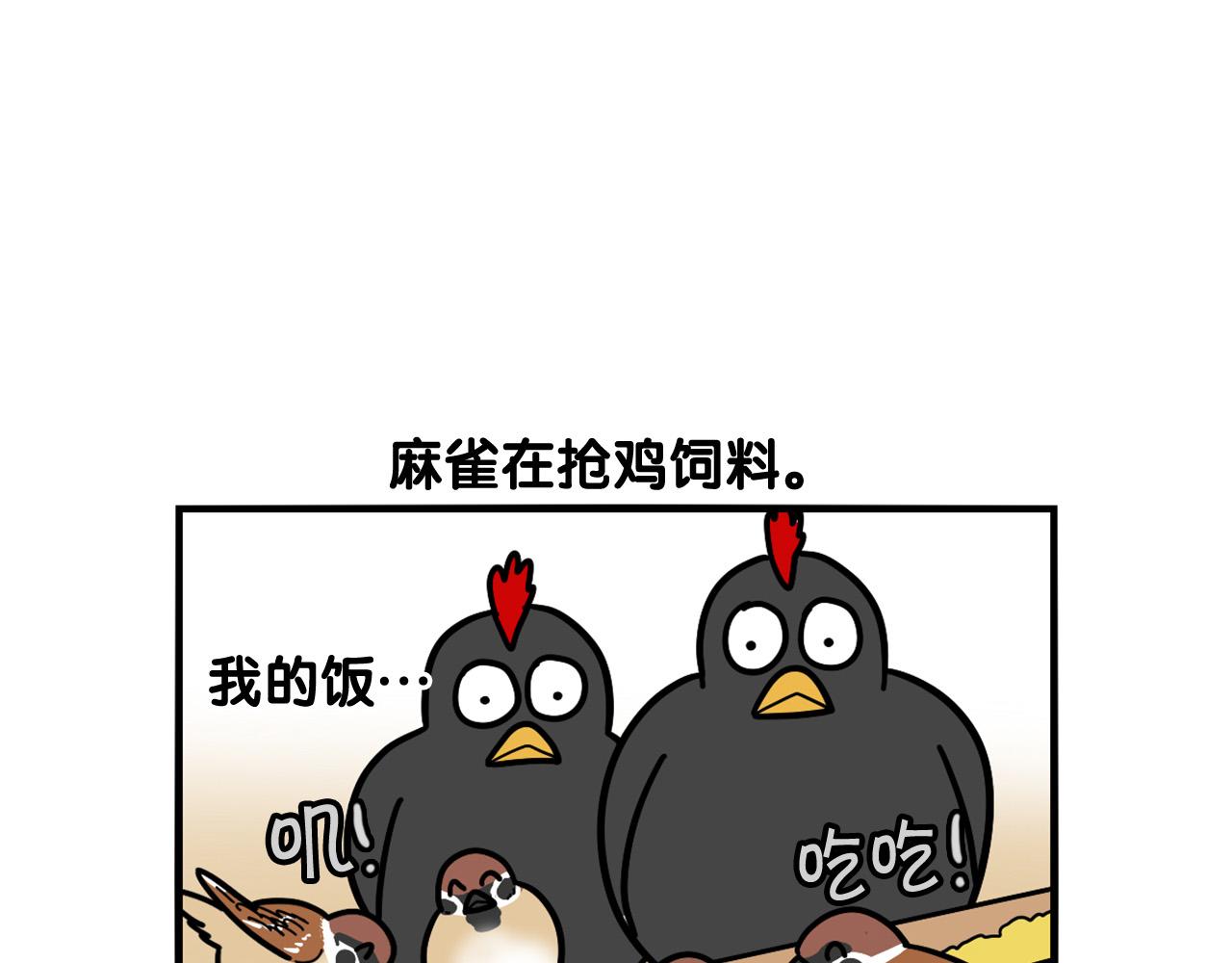 第31话 养鸡之旅75