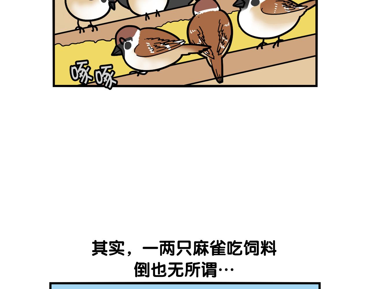 第31话 养鸡之旅76
