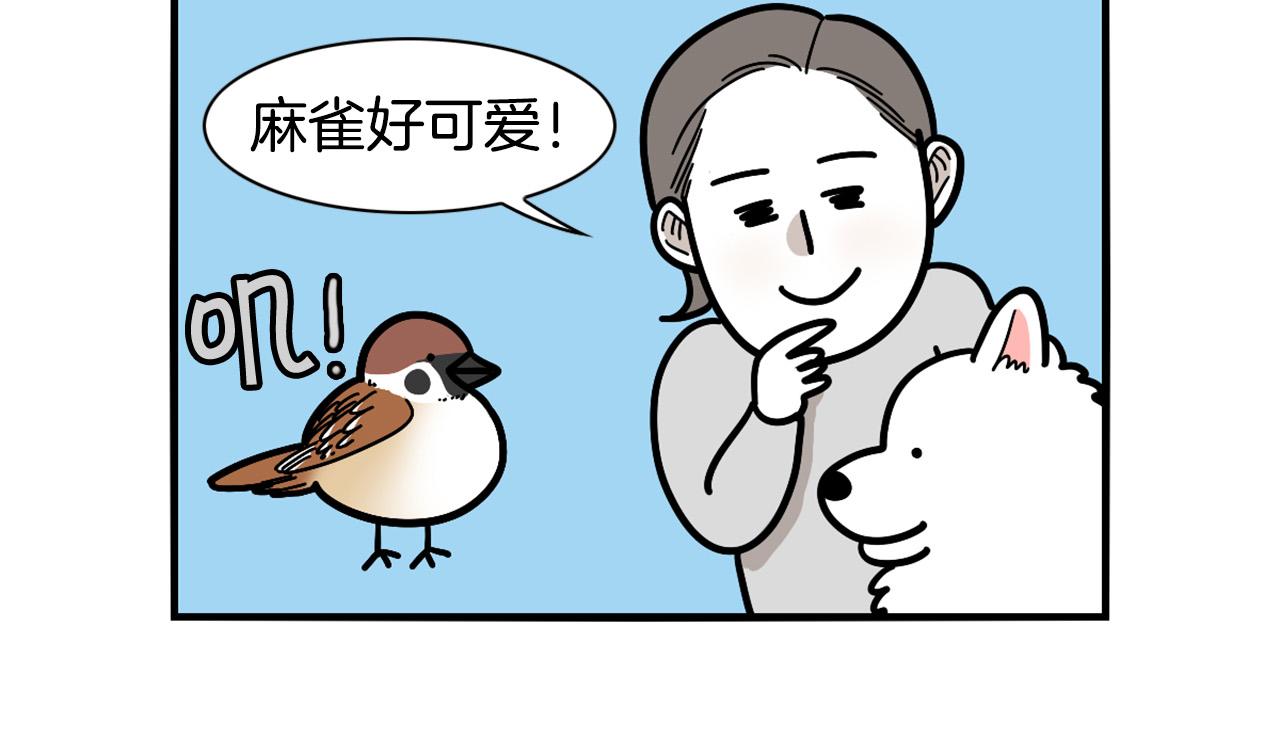 第31话 养鸡之旅77
