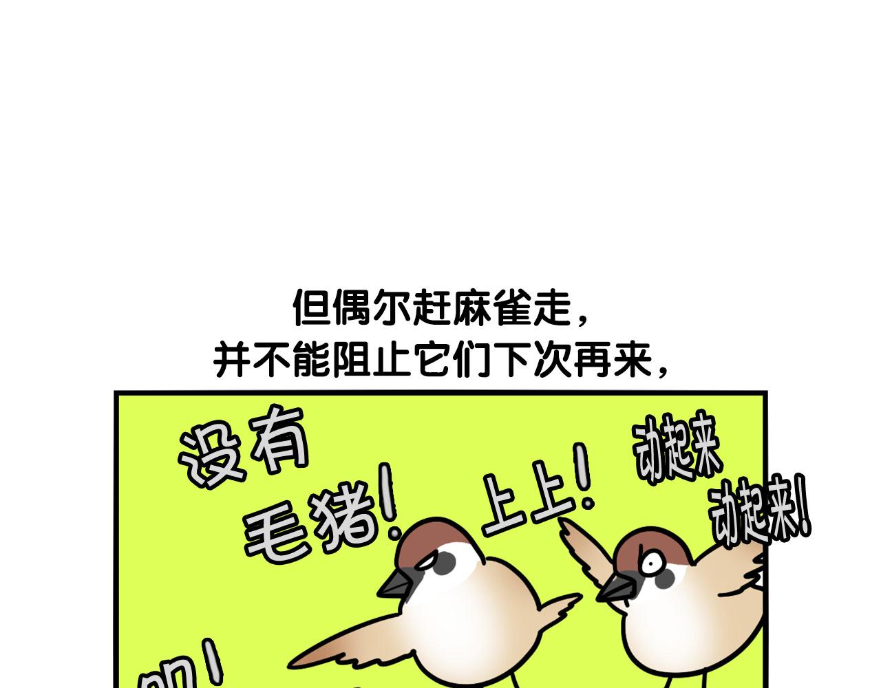 第31话 养鸡之旅88