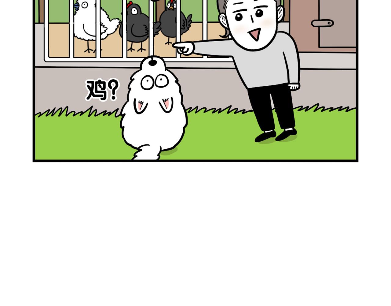 第31话 养鸡之旅9