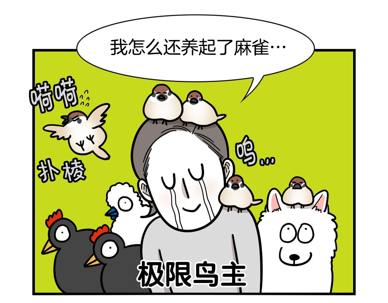 第31话 养鸡之旅91