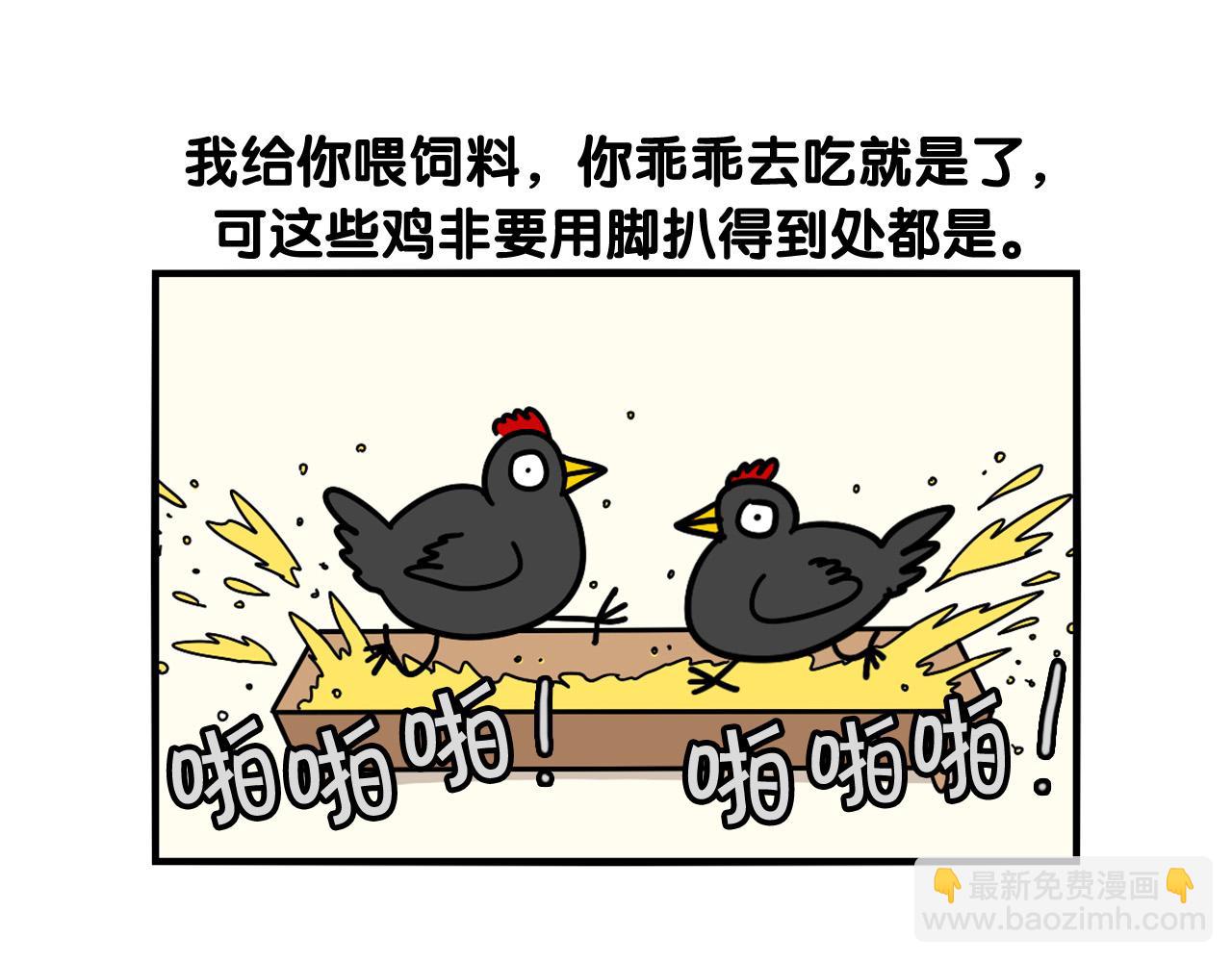 第31话 养鸡之旅93