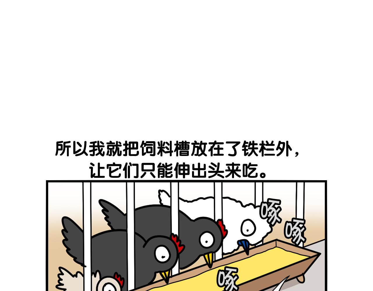 第31话 养鸡之旅94
