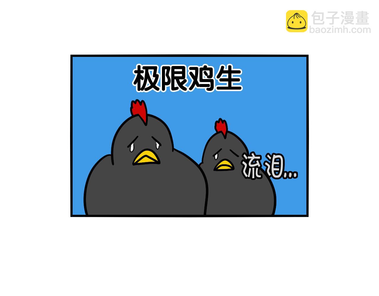 第31话 养鸡之旅99