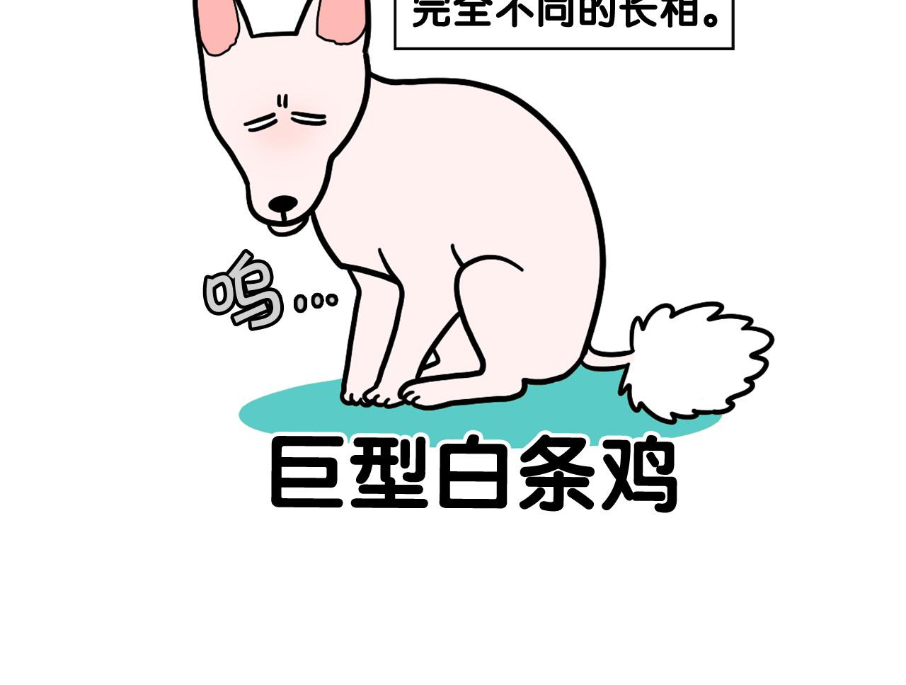第39话 剃毛方案18