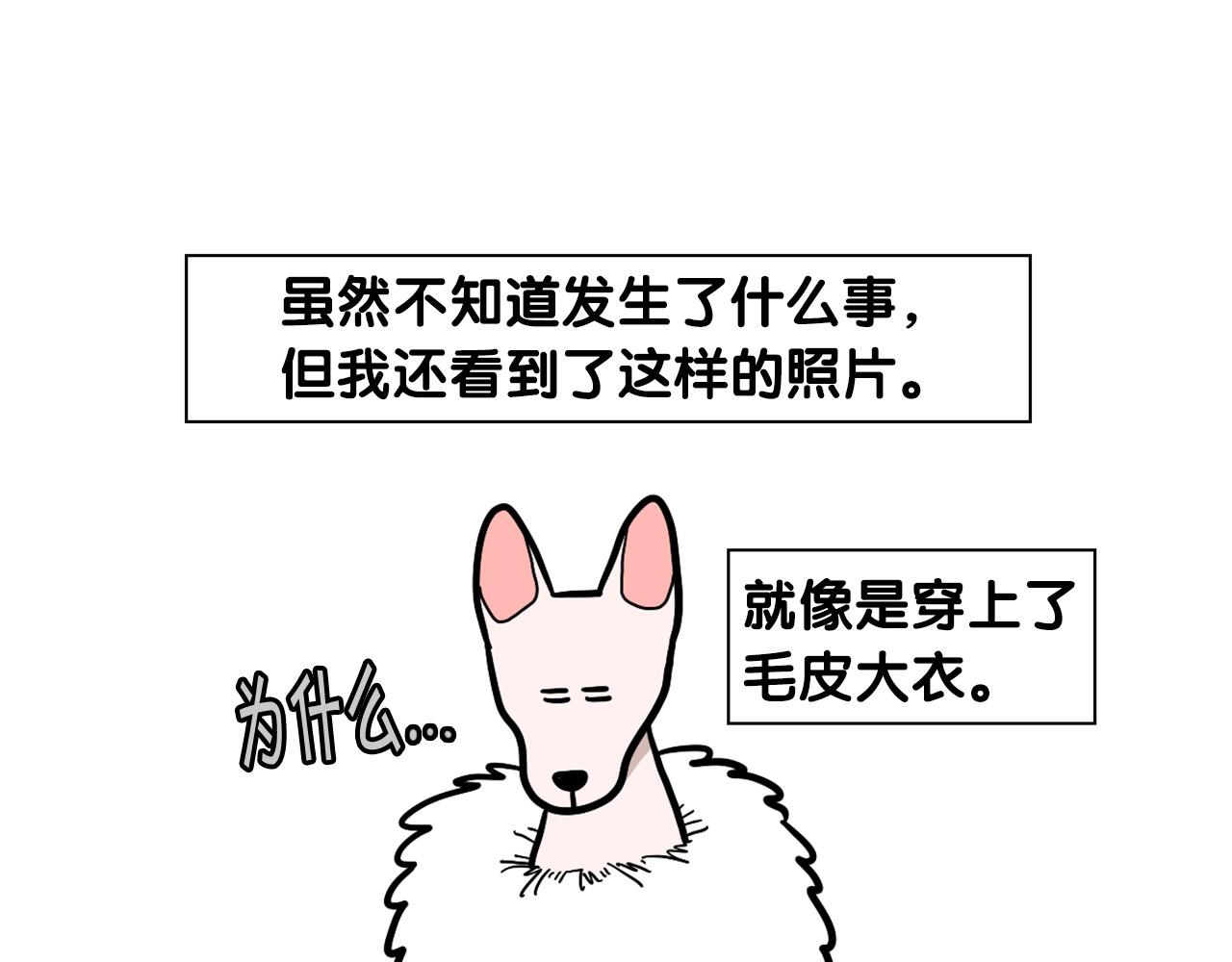 第39话 剃毛方案20
