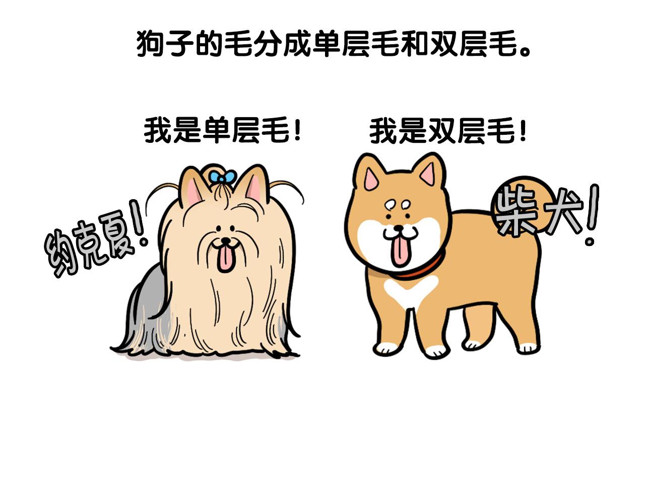 第39话 剃毛方案23