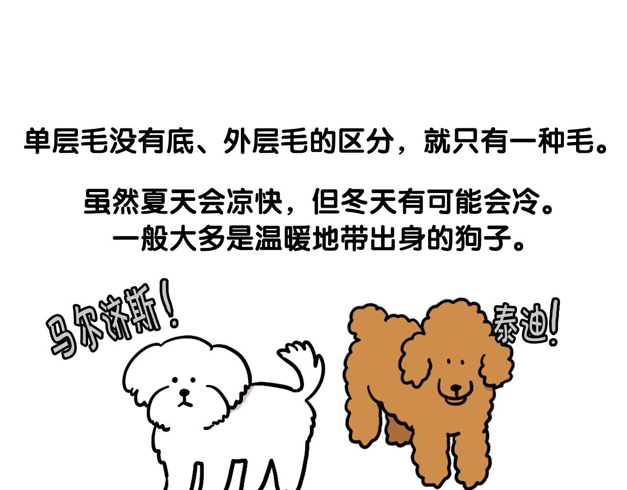 第39话 剃毛方案24