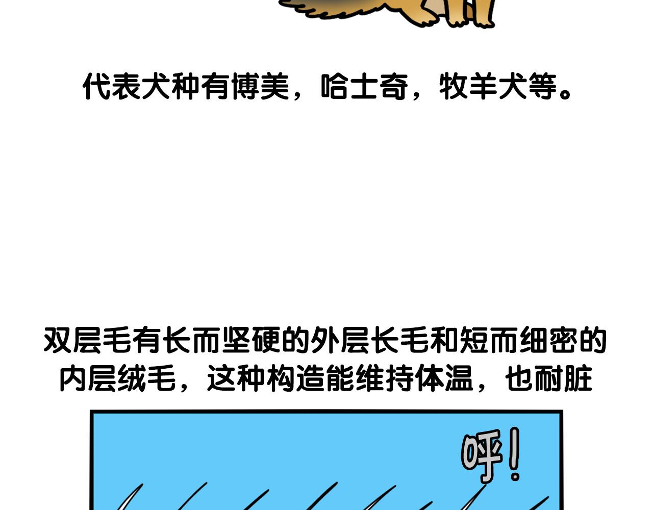 第39话 剃毛方案27