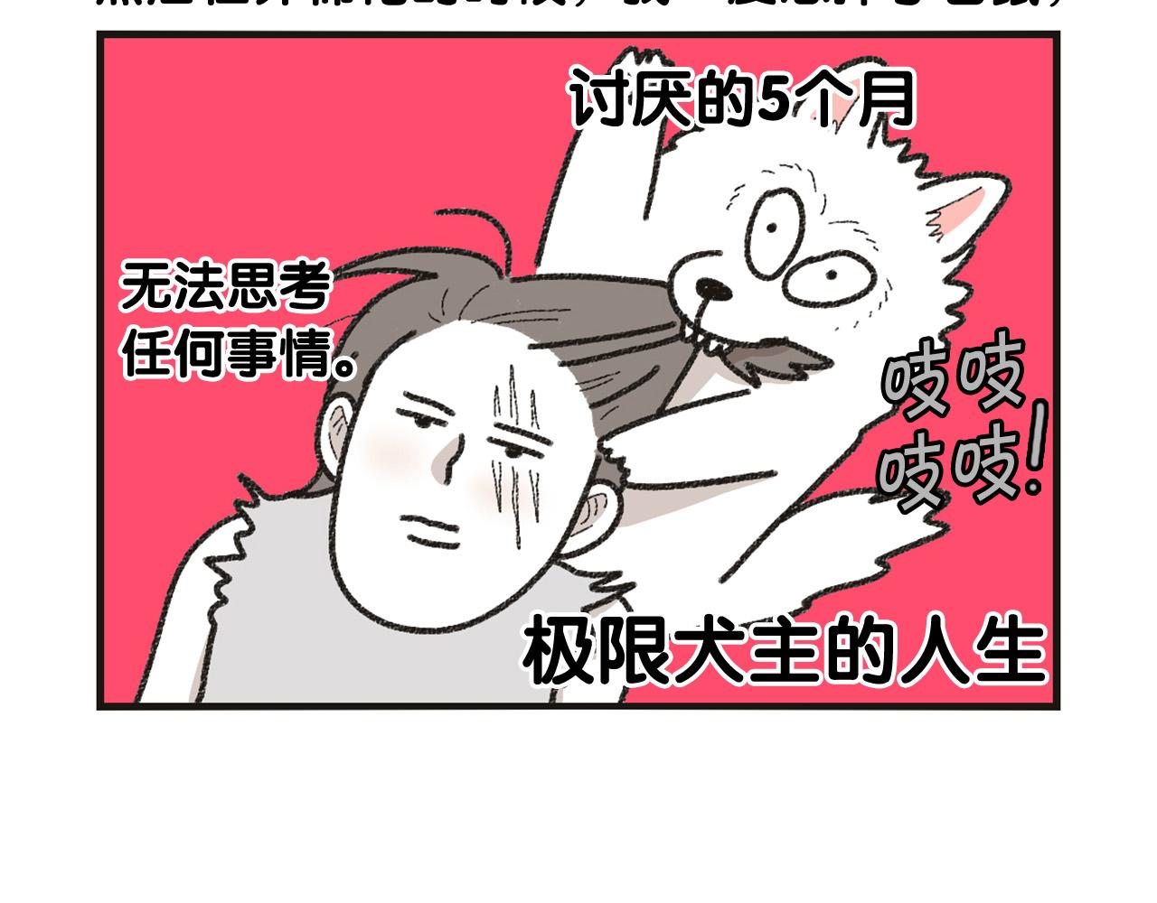 番外1 毛毛登场！11