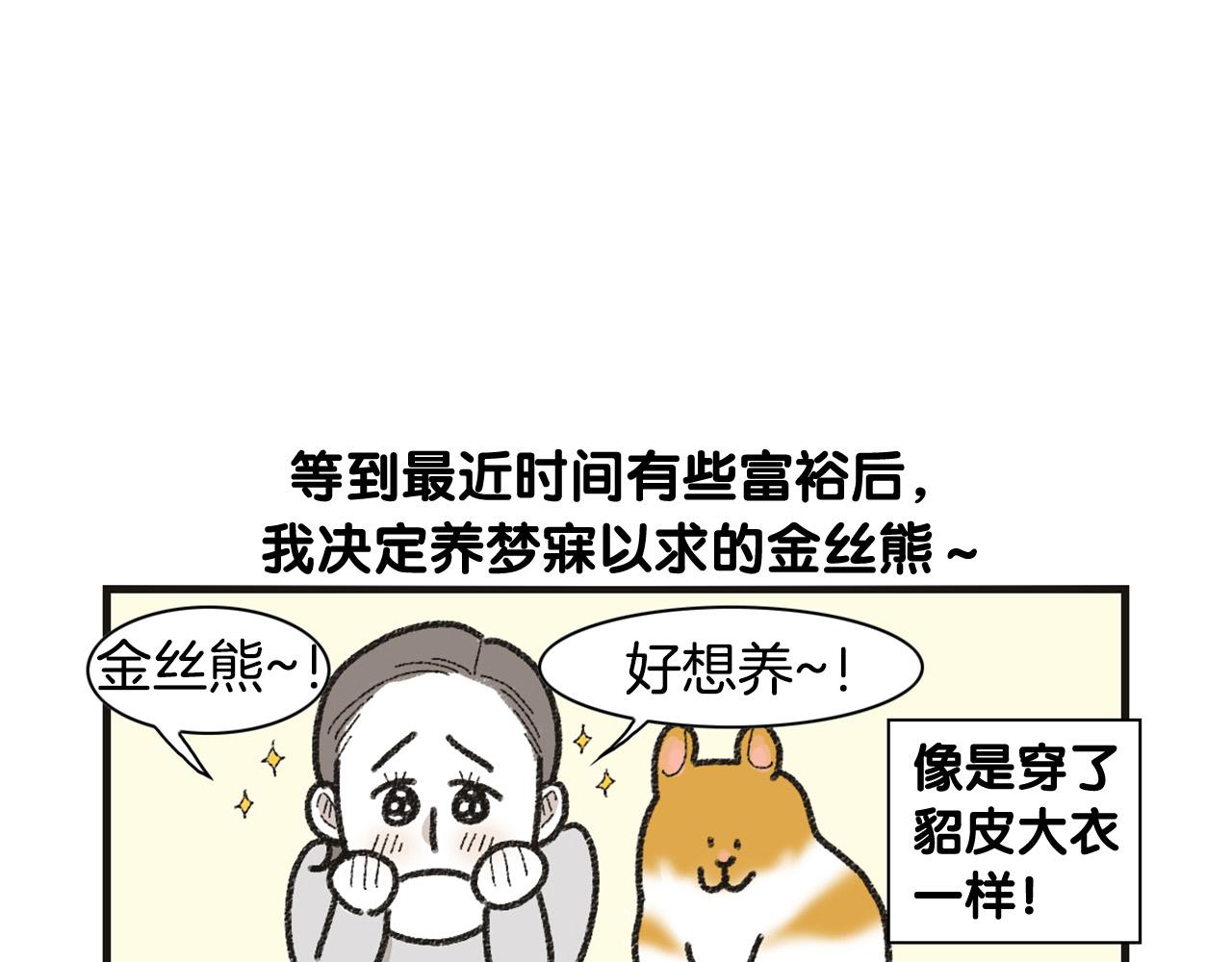 番外1 毛毛登场！12