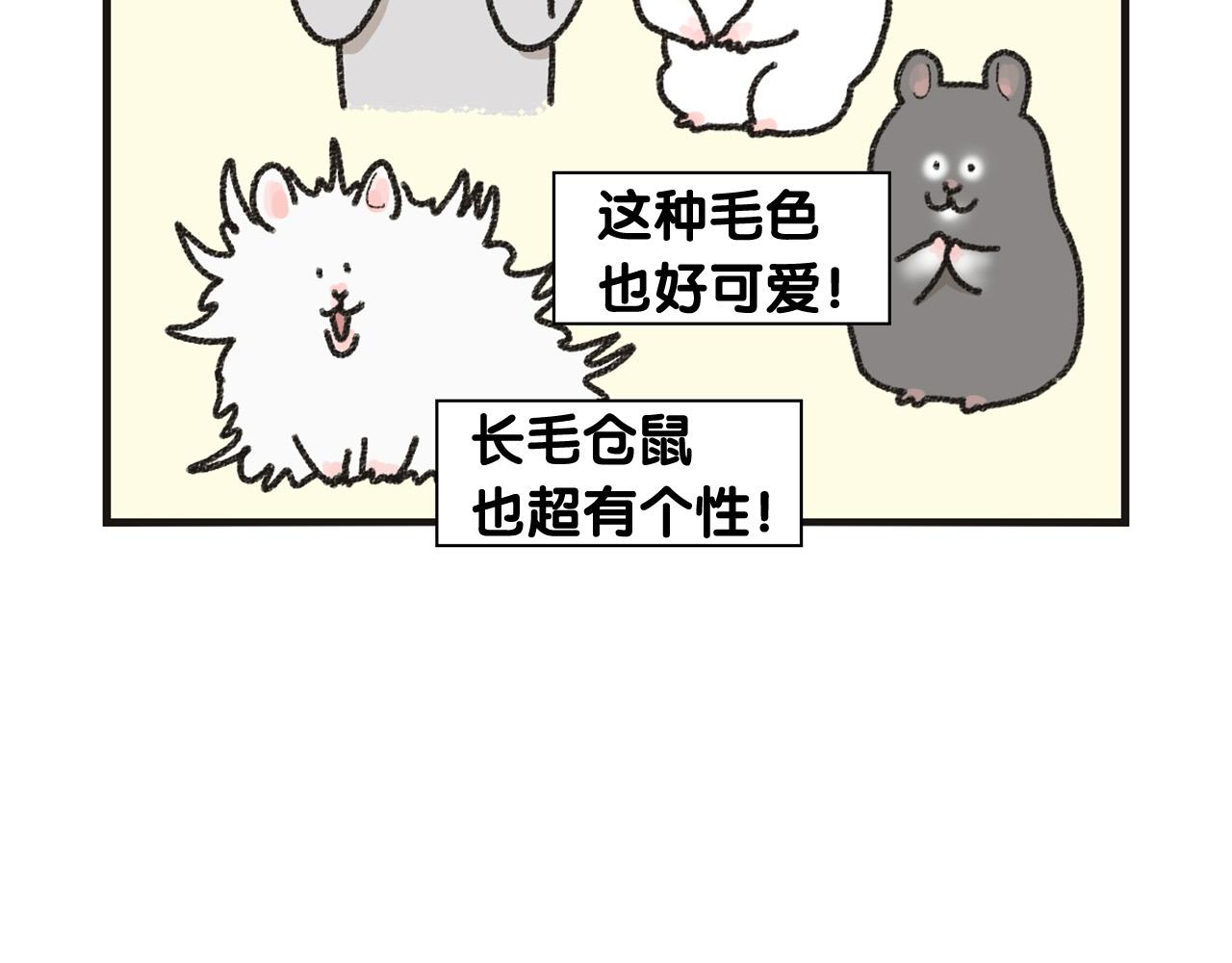 番外1 毛毛登场！13