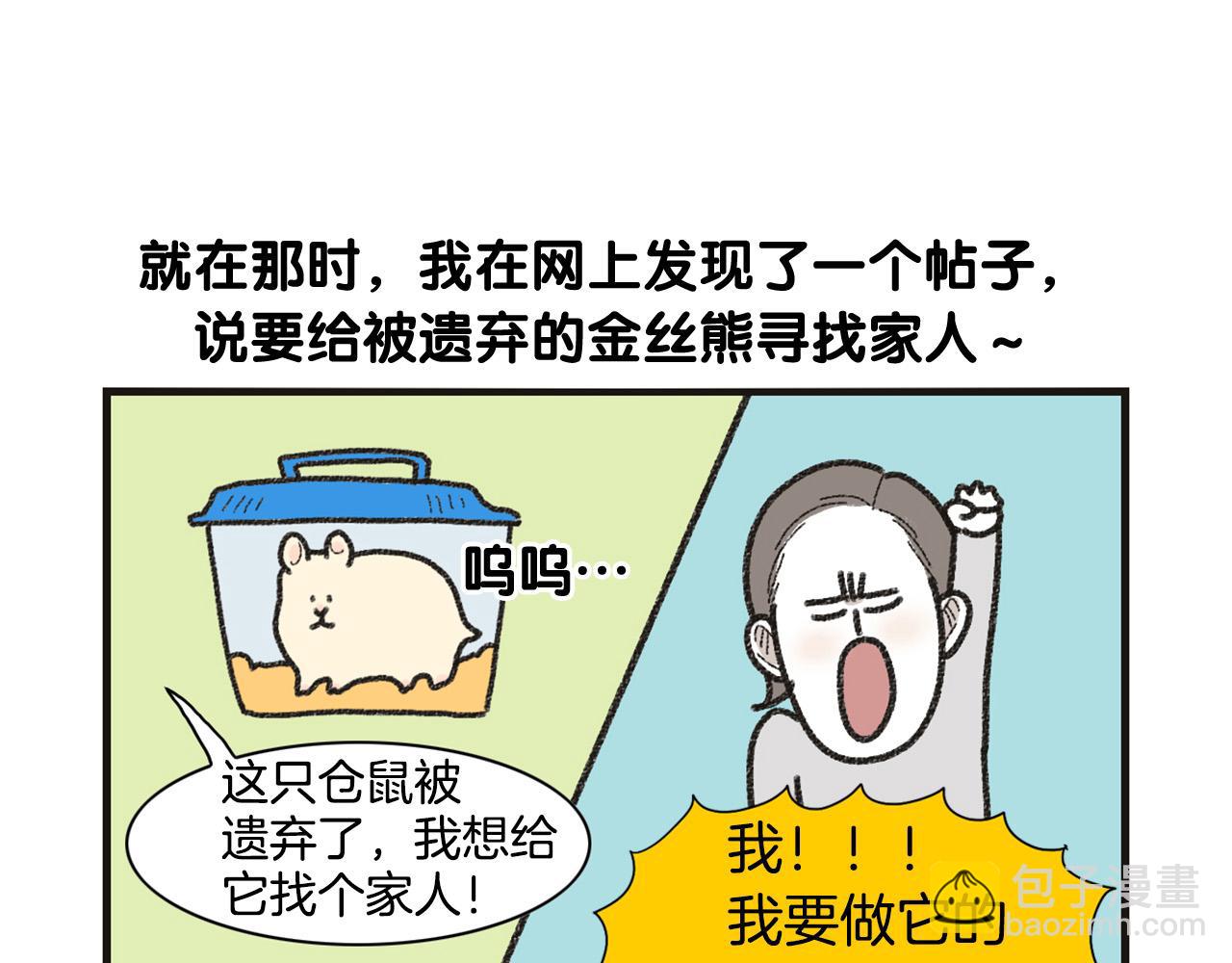 番外1 毛毛登场！14