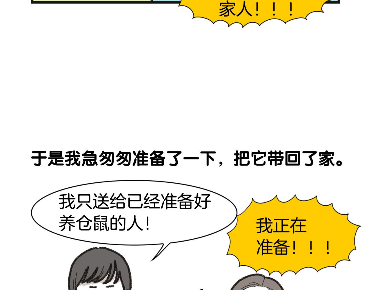 番外1 毛毛登场！15