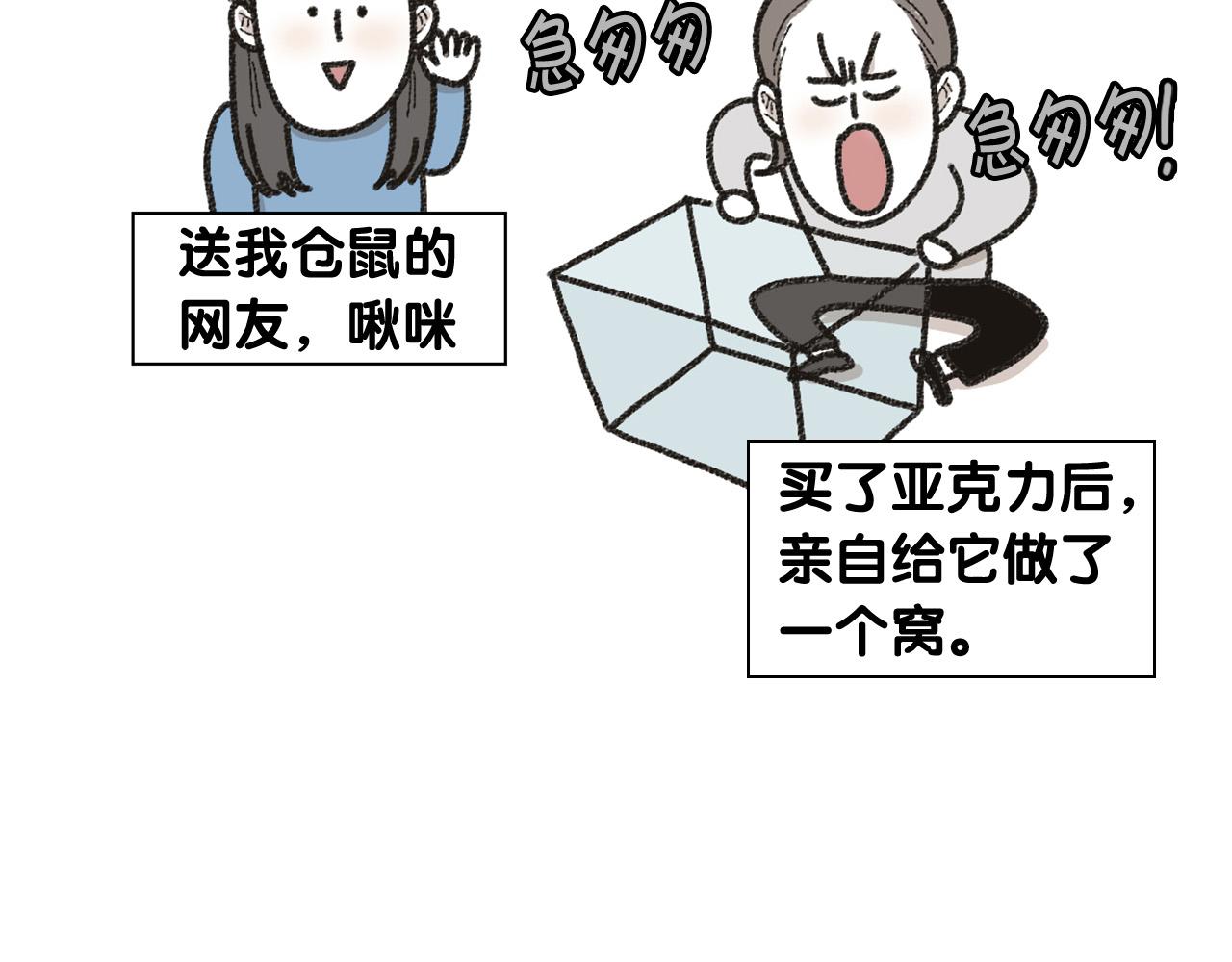 番外1 毛毛登场！16