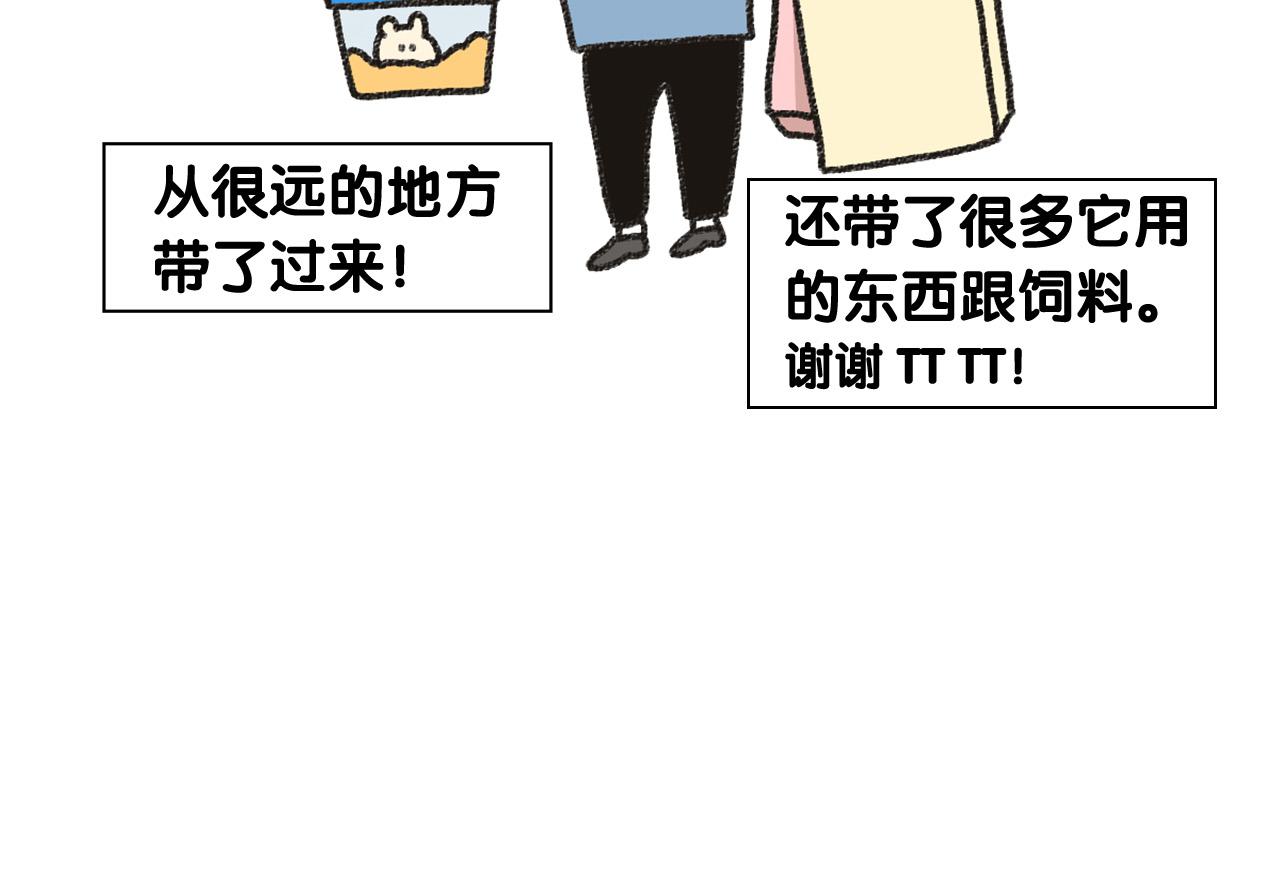 番外1 毛毛登场！18