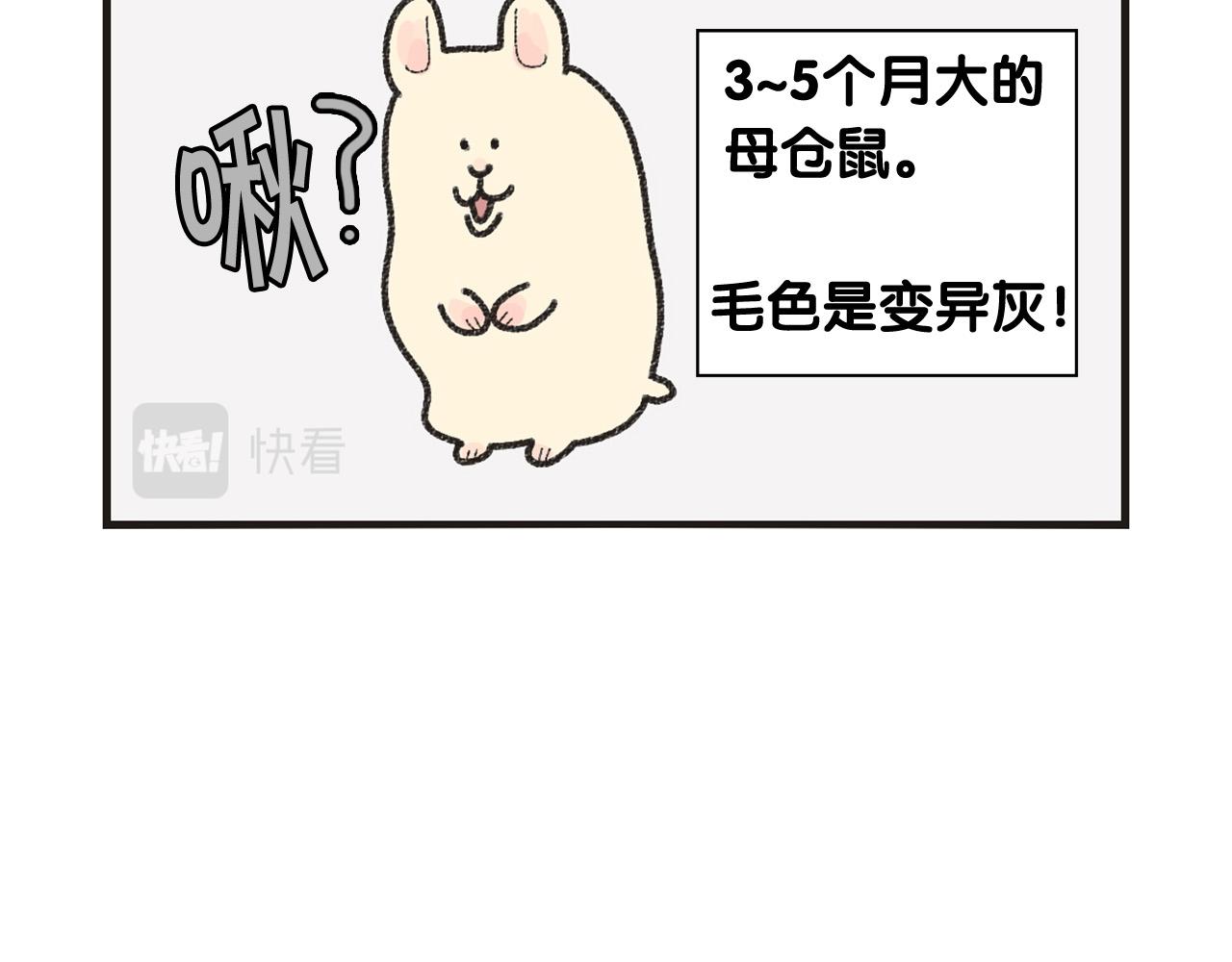 番外1 毛毛登场！20