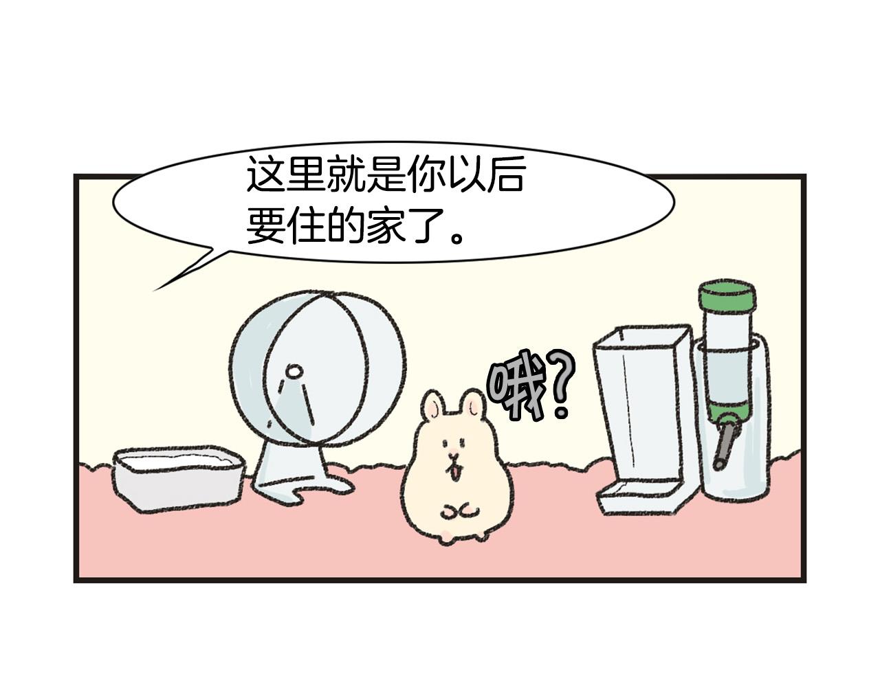 番外1 毛毛登场！21