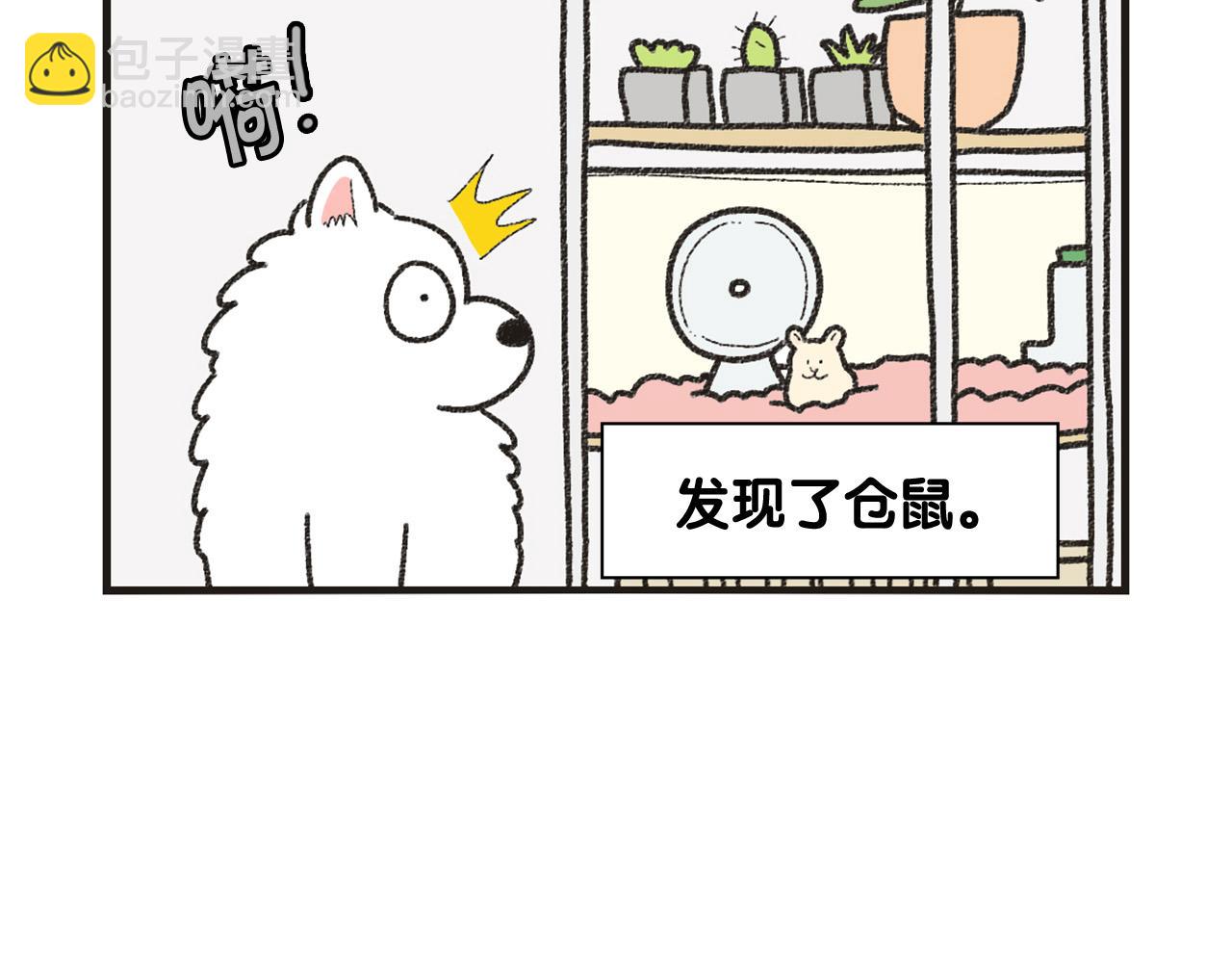 番外1 毛毛登场！25