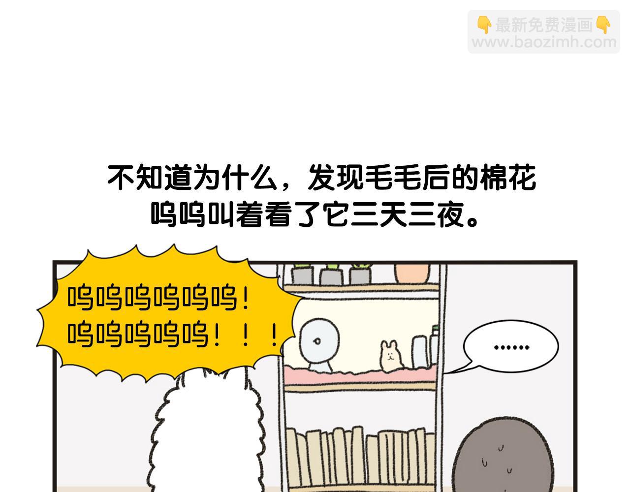 番外1 毛毛登场！31