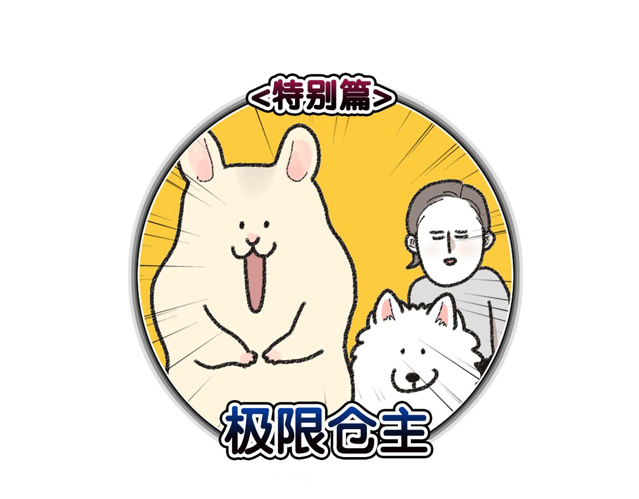 番外1 毛毛登场！4