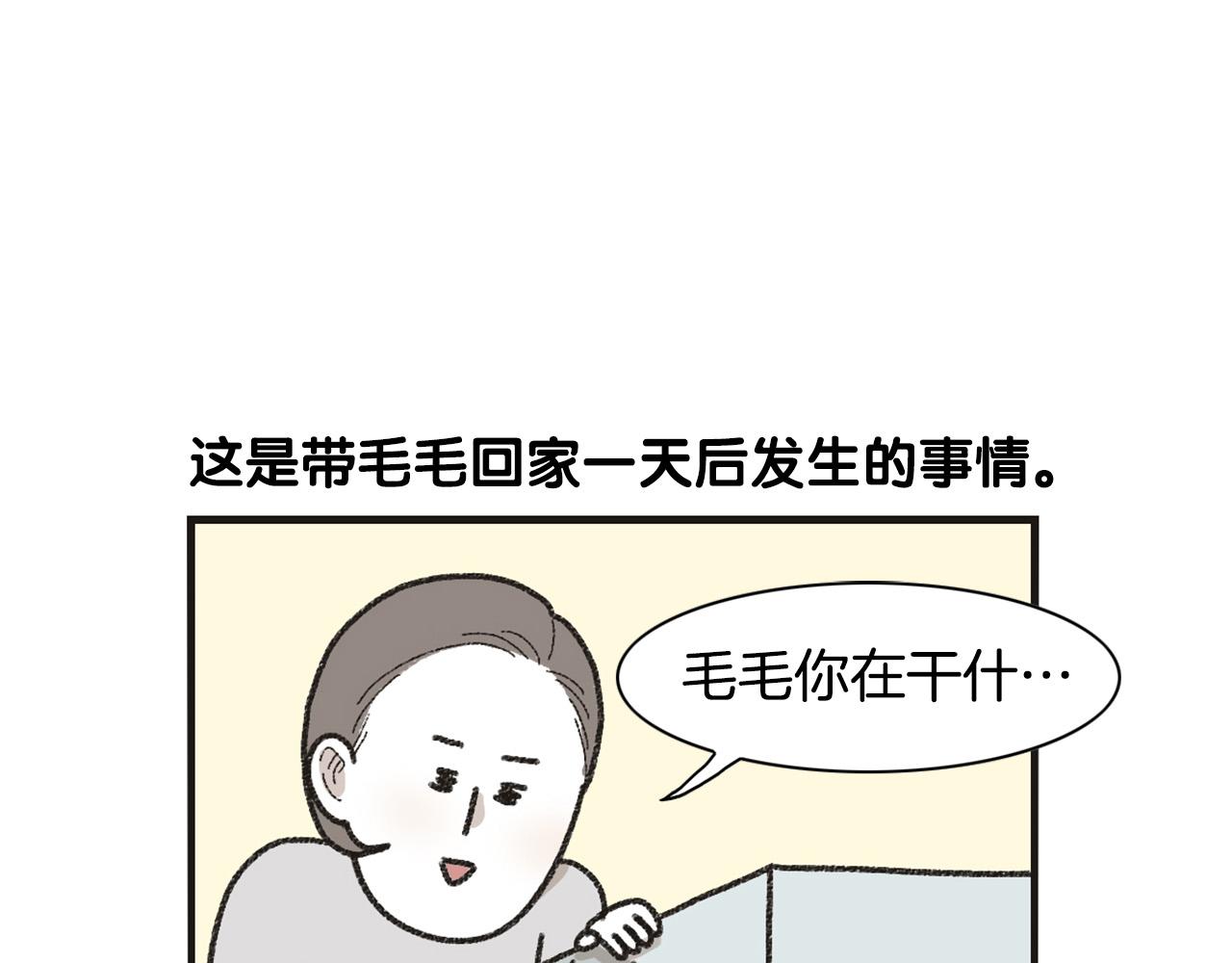番外1 毛毛登场！43