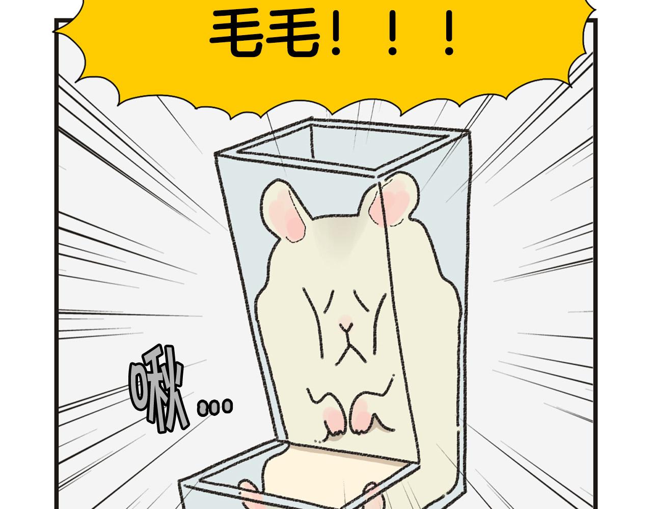 番外1 毛毛登场！46